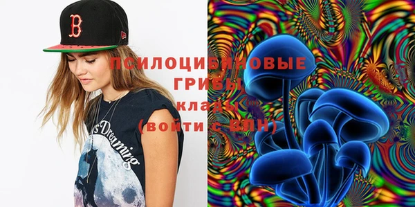 дживик Зеленодольск