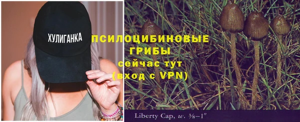 mdpv Зеленокумск