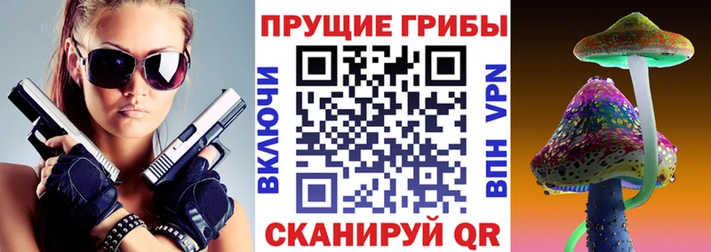 Псилоцибиновые грибы GOLDEN TEACHER  Канск 